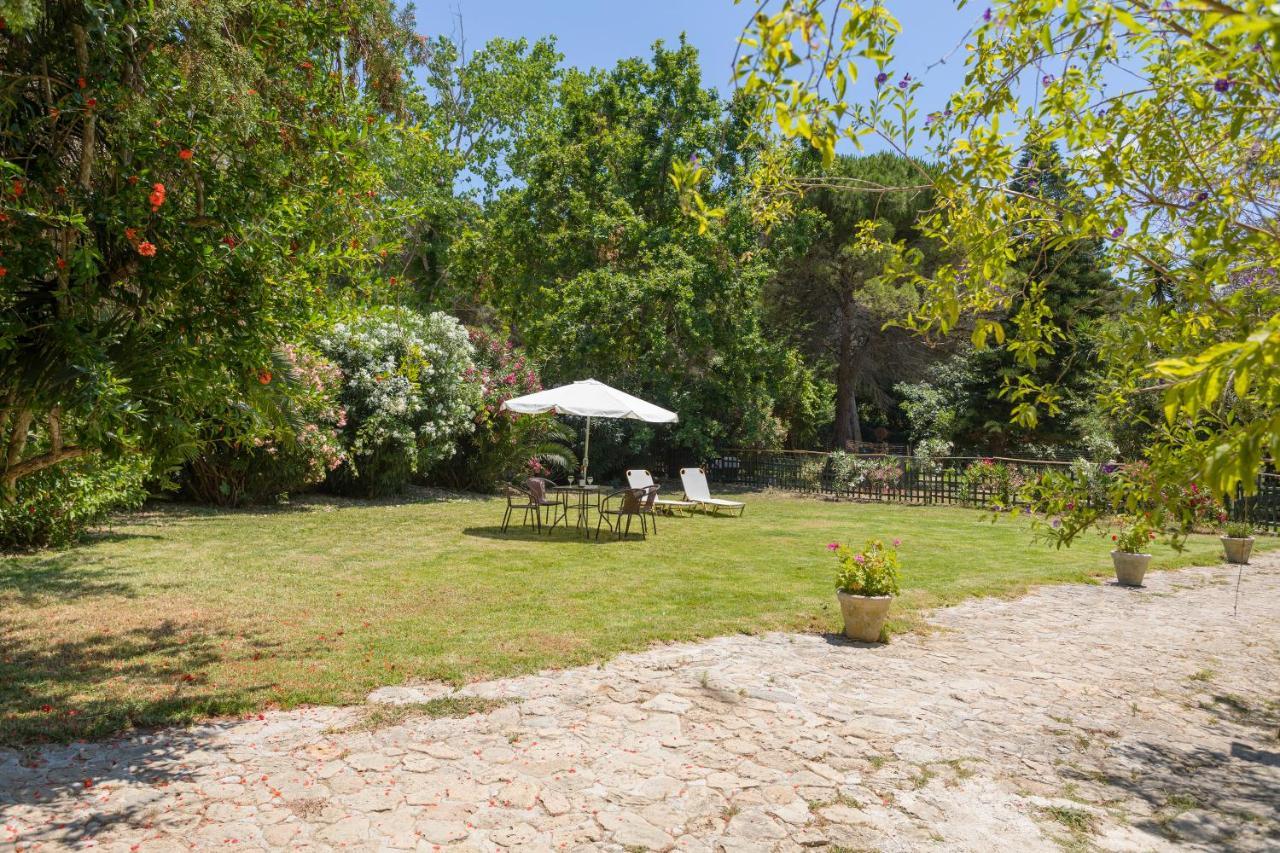 Jianni'S Villa - Stone Villa In The Greenery!! Vasilikí Exterior foto